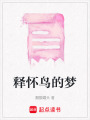 釋懷鳥的夢