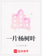 一片楊樹葉