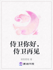 侍衛你好，侍衛再見