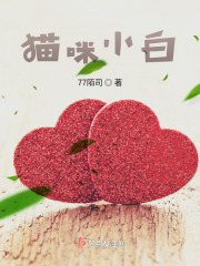 貓咪小白