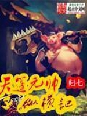 天篷元帥縱橫記