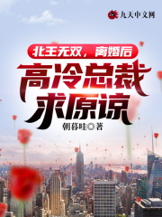 北王无双，离婚后高冷总裁求原谅君无双唐凤仪小说阅读，北王无双，离婚后高冷总裁求原谅完整版