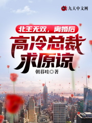 君无双唐凤仪小说叫什么（北王无双，离婚后高冷总裁求原谅免费阅读）