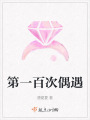第一百次偶遇