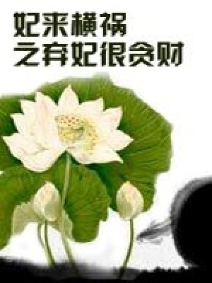 妃來橫禍之棄妃很貪財