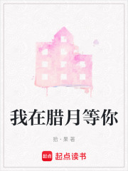 我在臘月等你