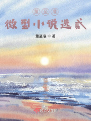 董至準微型小說選貳