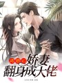 離婚后，嬌妻翻身成大佬