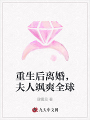 《重生后离婚，夫人飒爽全球》全集免费在线阅读（乔希沈肆）