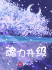《魂力升级》小说大结局免费试读 韩枫唐三小说-神奇文学