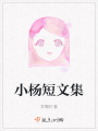 小楊短文集