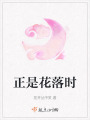 正是花落時