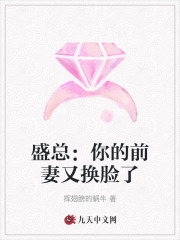 已完结小说《盛总：你的前妻又换脸了》全文免费阅读