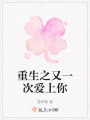 重生之又一次愛上你