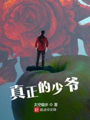 真正的少爷赵辰李妙弦在线阅读，赵辰李妙弦最新章节