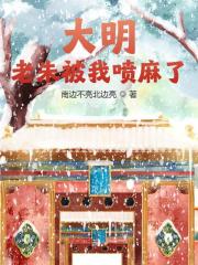 大明：老朱被我喷麻了免费阅读，大明：老朱被我喷麻了苏璟刘伯温小说无弹窗阅读