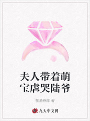 夫人带着萌宝虐哭陆爷免费阅读，夫人带着萌宝虐哭陆爷全文在线阅读