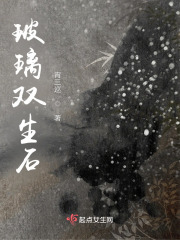 玻璃雙生石