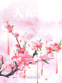 天命VI