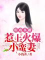 假戲真做：惹上火爆小蠻妻