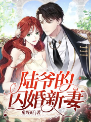 小说《陆爷的闪婚新妻！》全文免费阅读