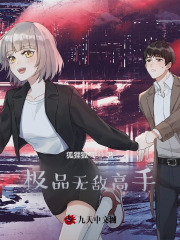 《极品无敌高手》全集免费在线阅读（刘子铭袁老师）