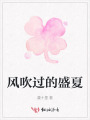 風吹過的盛夏
