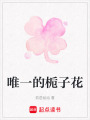 唯一的梔子花