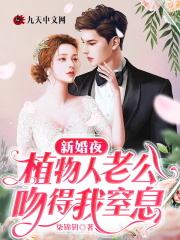 主人公叶宁晚裴凤之小说新婚夜，植物人老公吻得我窒息在线全文阅读