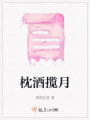枕酒攬?jiān)? class=