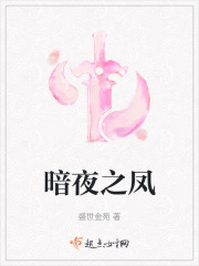 暗夜之鳳