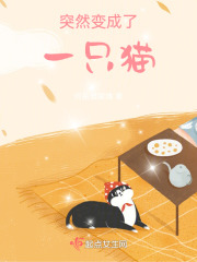 突然變成了一只貓