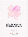 暗戀實錄