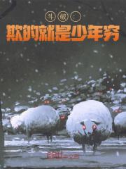 晨风纳兰嫣然（精彩小说斗破：欺的就是少年穷）在线免费阅读-经典文学
