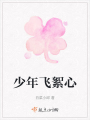 少年飛絮心