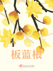 板藍根