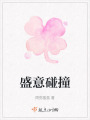 盛意碰撞