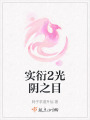 實(shí)衍2光陰之目