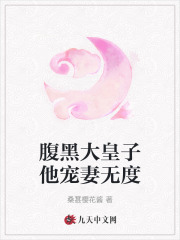 腹黑大皇子他宠妻无度沈蝶兰君寒澈小说在线全文免费阅读