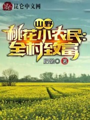 山野桃花小农民：全村致富丁飞张清欢小说阅读，山野桃花小农民：全村致富完整版