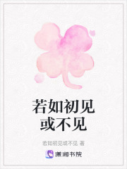 若如初見或不見