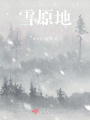 雪原地