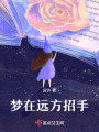 夢在遠(yuǎn)方招手