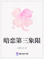 暗戀第三象限