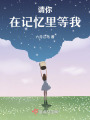 請你在記憶里等我
