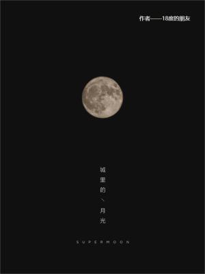 城里的月光