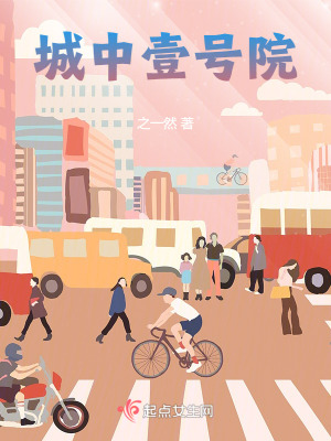 城中壹號院