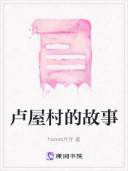 盧屋村的故事