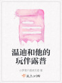 溫迪和他的玩伴露普