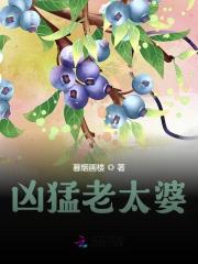 小说《凶猛老太婆》在线全文阅读